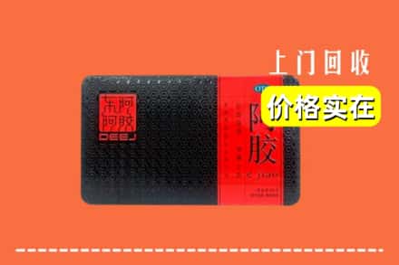 红河州石屏回收阿胶