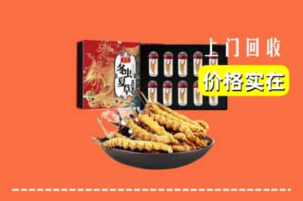 红河州石屏回收虫草