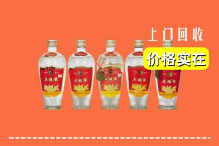 红河州石屏回收老五粮液